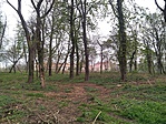 IMG_20190413_125112