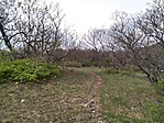 IMG_20190413_133216