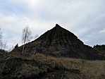 2019-04-06 16.37.05