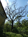 P1010799