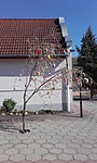 20190420_154617