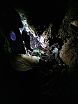 P90413-201403