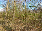 IMG_20190408_170917