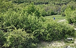IMG_20190511_145147_2
