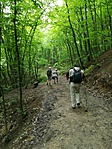 IMG_20190518_110548