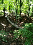 IMG_20190518_142258