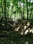 IMG_20190518_145124