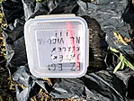 IMG_20190508_085715