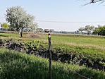 IMG_20190508_090404