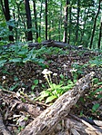 IMG_20190428_173947