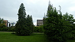 P1030258