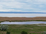IMG_20190511_081731