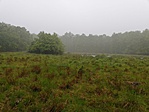 IMG_20190519_065843
