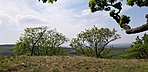 20190501_131806