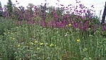20190519_145753