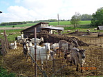 DSC04608