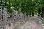 _DSC8144