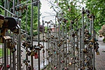 _DSC8142