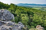 _DSC8532