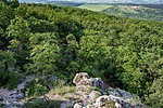 _DSC8535