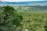 _DSC8548