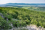_DSC8546