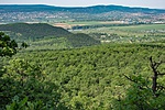 _DSC8549