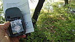 IMG_20190525_064647