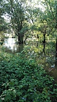 IMG_20190525_065216