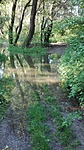 IMG_20190525_065205