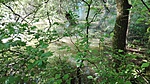 IMG_20190525_064729
