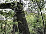 IMG_0267