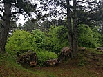 IMG_20190519_090820