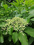 IMG_20190519_115948