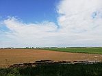 IMG_20190519_100817