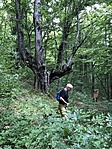 Péter keres GCLAPJ-3