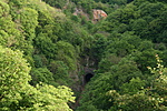 IMG_7466