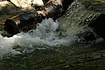 IMG_7398
