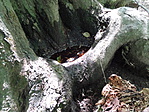 DSC00854