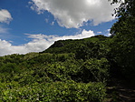 DSC00938