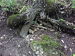 IMG_20190524_130418