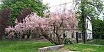 20190428_135719