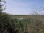 20190526_105213