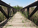 20190526_110419