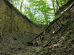DSC04272