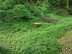 DSC04808