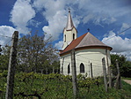 DSC04854