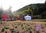 gcarbo-DSC02305