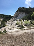 IMG_1594
