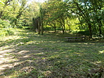 DSCN9508